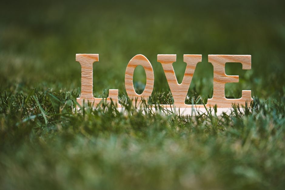 Wooden letters spelling LOVE on a grass lawn symbolizing romance and nature.