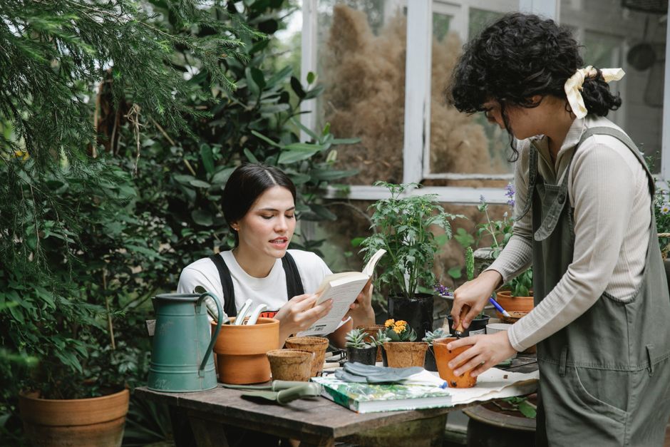 Woman sitting at table and reading gardening handbook while colleague planting sprout in peat pot in garden